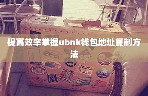 提高效率掌握ubnk钱包地址复制方法