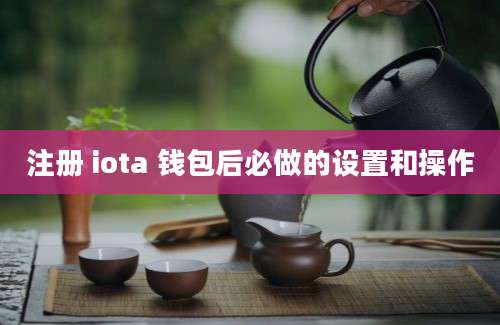 注册 iota 钱包后必做的设置和操作