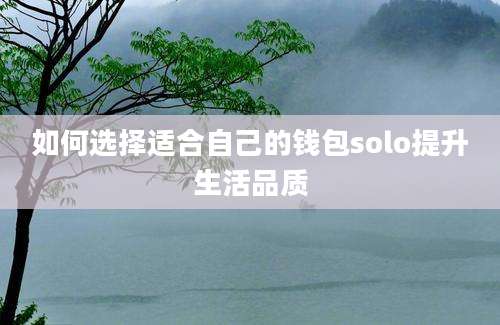 如何选择适合自己的钱包solo提升生活品质