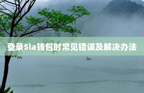 登录Sia钱包时常见错误及解决办法