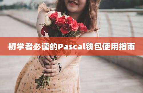 初学者必读的Pascal钱包使用指南