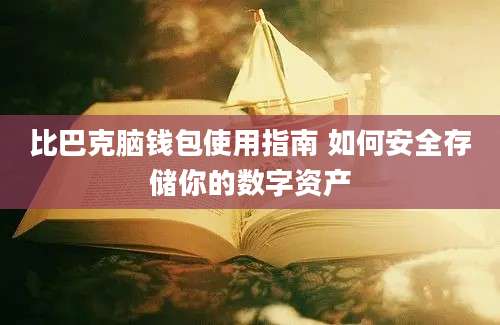 比巴克脑钱包使用指南 如何安全存储你的数字资产