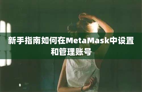 新手指南如何在MetaMask中设置和管理账号