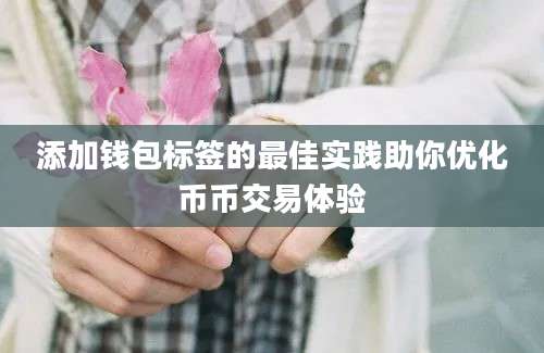 添加钱包标签的最佳实践助你优化币币交易体验