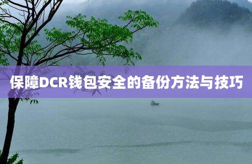 保障DCR钱包安全的备份方法与技巧