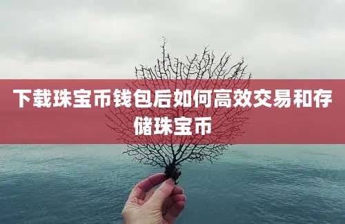 下载珠宝币钱包后如何高效交易和存储珠宝币