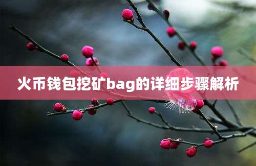 火币钱包挖矿bag的详细步骤解析