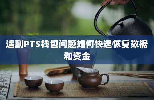 遇到PTS钱包问题如何快速恢复数据和资金