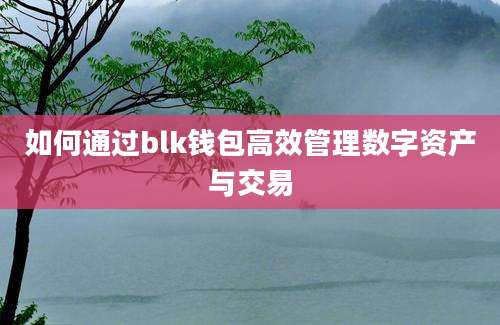 如何通过blk钱包高效管理数字资产与交易