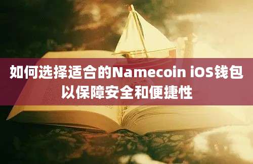 如何选择适合的Namecoin iOS钱包以保障安全和便捷性