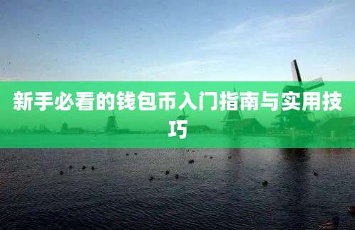 新手必看的钱包币入门指南与实用技巧