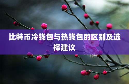 比特币冷钱包与热钱包的区别及选择建议