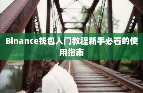 Binance钱包入门教程新手必看的使用指南