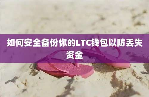 如何安全备份你的LTC钱包以防丢失资金