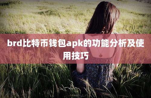 brd比特币钱包apk的功能分析及使用技巧