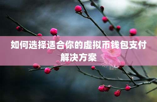 如何选择适合你的虚拟币钱包支付解决方案