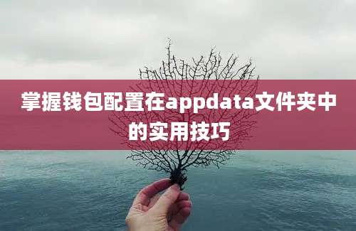 掌握钱包配置在appdata文件夹中的实用技巧