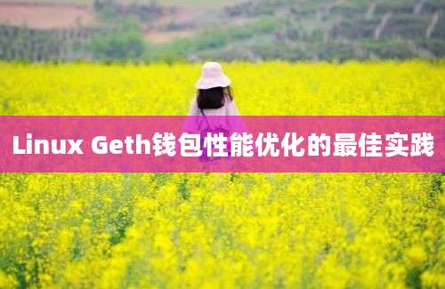 Linux Geth钱包性能优化的最佳实践