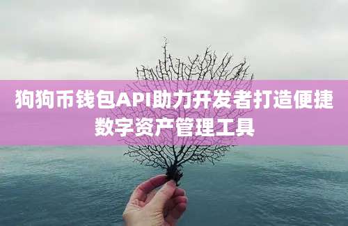 狗狗币钱包API助力开发者打造便捷数字资产管理工具