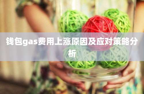 钱包gas费用上涨原因及应对策略分析