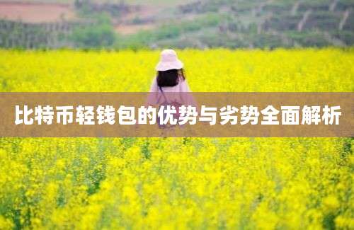 比特币轻钱包的优势与劣势全面解析