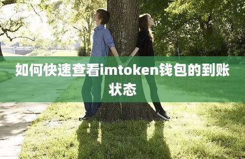 如何快速查看imtoken钱包的到账状态