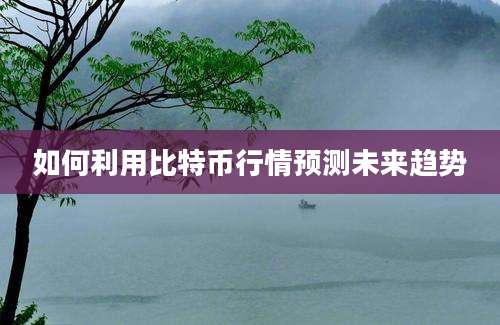 如何利用比特币行情预测未来趋势