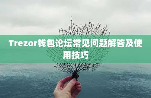 Trezor钱包论坛常见问题解答及使用技巧