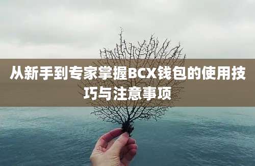 从新手到专家掌握BCX钱包的使用技巧与注意事项