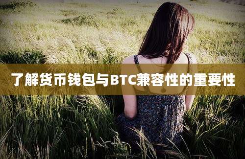 了解货币钱包与BTC兼容性的重要性