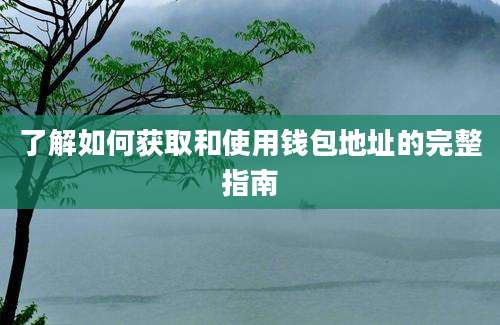 了解如何获取和使用钱包地址的完整指南