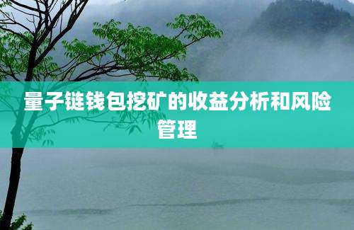 量子链钱包挖矿的收益分析和风险管理