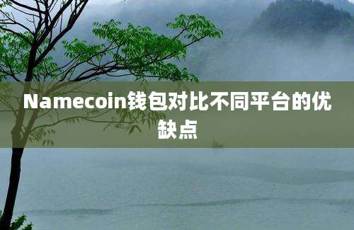 Namecoin钱包对比不同平台的优缺点