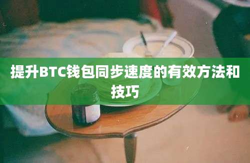 提升BTC钱包同步速度的有效方法和技巧