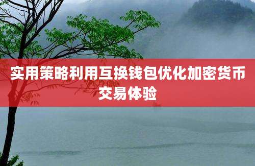 实用策略利用互换钱包优化加密货币交易体验