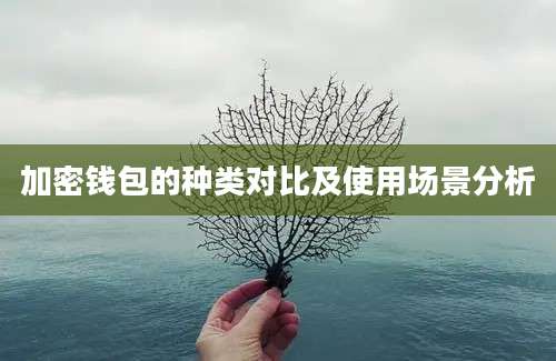 加密钱包的种类对比及使用场景分析