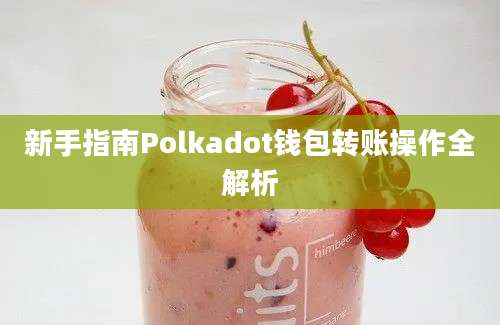 新手指南Polkadot钱包转账操作全解析