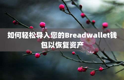 如何轻松导入您的Breadwallet钱包以恢复资产