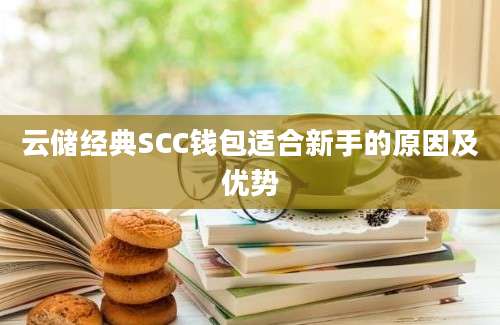 云储经典SCC钱包适合新手的原因及优势