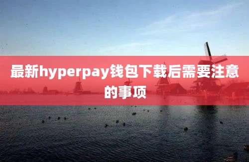 最新hyperpay钱包下载后需要注意的事项