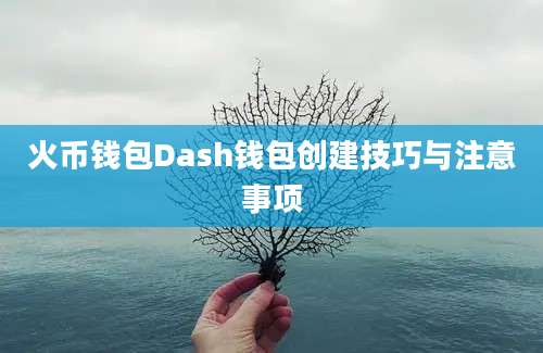 火币钱包Dash钱包创建技巧与注意事项