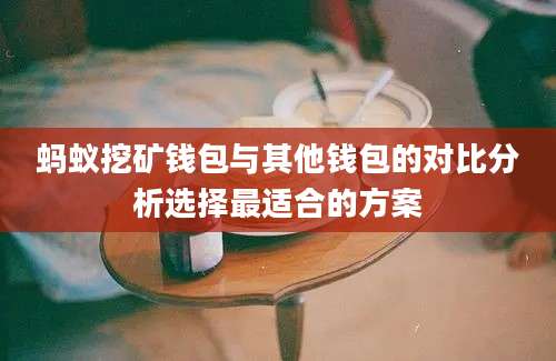 蚂蚁挖矿钱包与其他钱包的对比分析选择最适合的方案