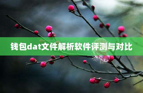 钱包dat文件解析软件评测与对比