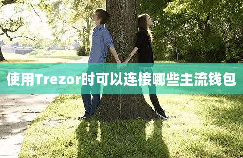 使用Trezor时可以连接哪些主流钱包