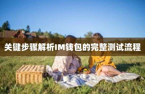 关键步骤解析IM钱包的完整测试流程