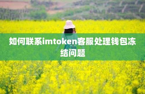 如何联系imtoken客服处理钱包冻结问题