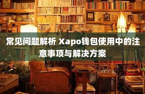 常见问题解析 Xapo钱包使用中的注意事项与解决方案