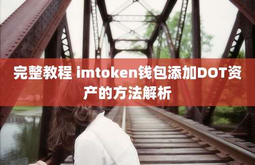 完整教程 imtoken钱包添加DOT资产的方法解析