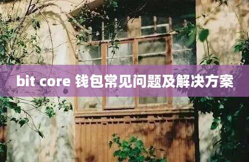 bit core 钱包常见问题及解决方案