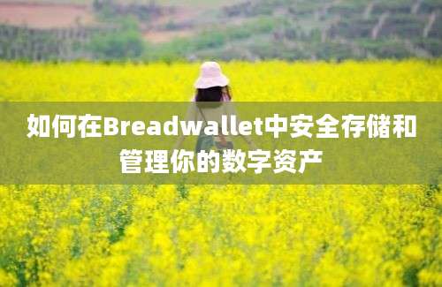 如何在Breadwallet中安全存储和管理你的数字资产